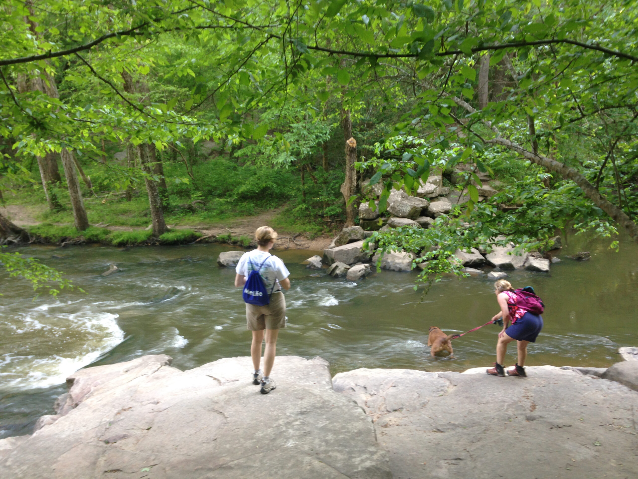 Cooling off in Umstead's Crabtree Creek