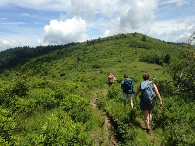 Shining Rock Wilderness, Pisgah National Forest