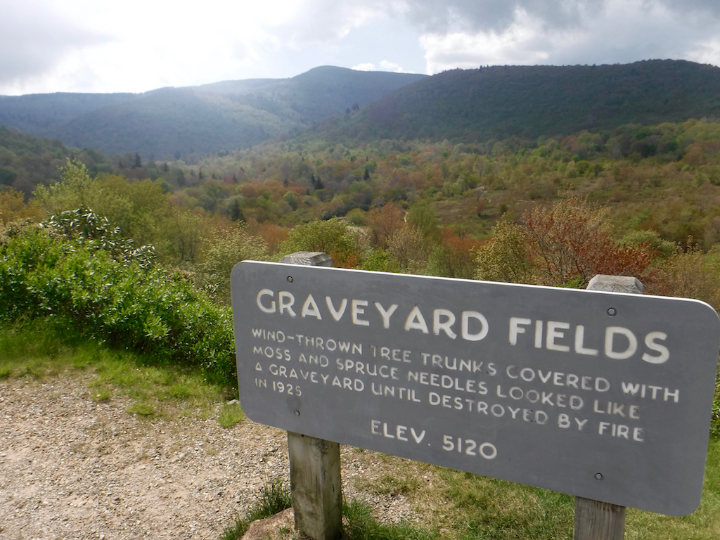 On its 300-mile run through the mountains, the MST passes through Graveyard Fields on the Blue Ridge Parkway.