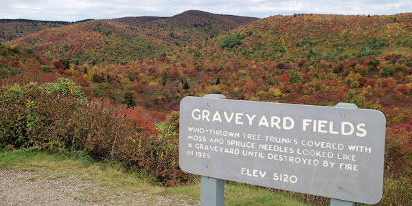 Graveyard Fields along the Mountains-to-Sea Trail (photo courtesy romanticasheville.com)