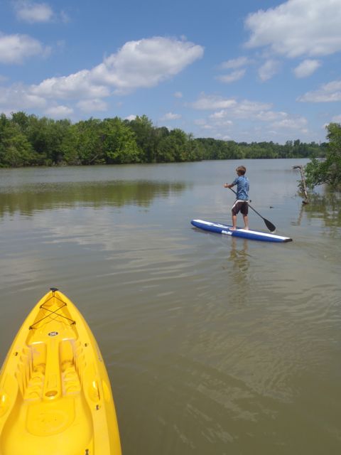 SOS! Save Our Summer, with a cool paddle on a Piedmont 